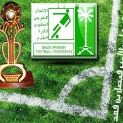 دوري كأس الأمير فيصل بن فهد 2014-2015