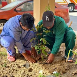 إدارة الأنشطة الترفهية والفعاليات تنفذ برنامج “من مزارعنا”